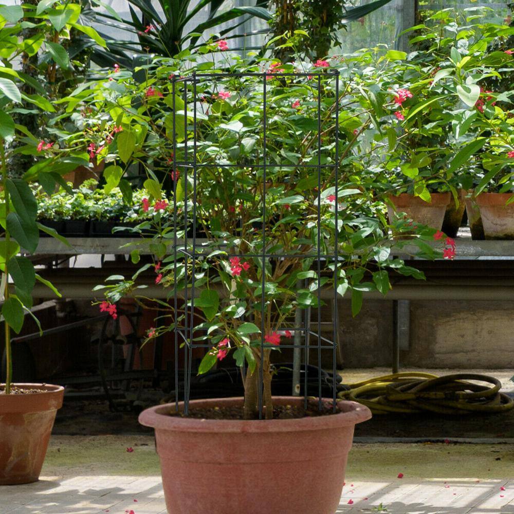 Dark Green Iron Trellis Plant Cage Set for Indoor Climbing Plants