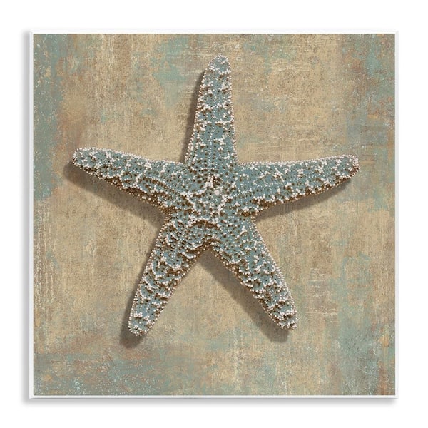 Starfish Beach Objects by Caroline Kelly Unframed Graphic Art Print Coastal 12 in. x 12 in.
