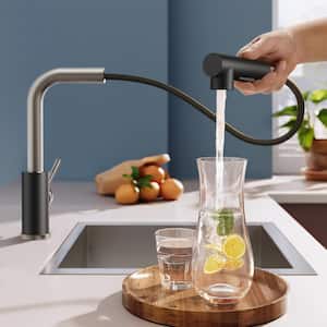 Single Handle Kitchen Sink Faucet with Pull Down Sprayer Kitchen Faucet in Black Nickel