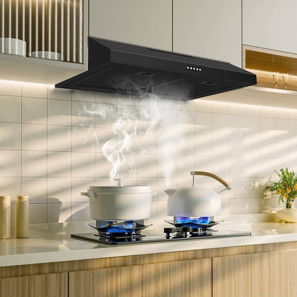 30 in. 600 CFM Convertible Ductless Under Cabinet Range Hood with 3-Speed Exhaust Fan and 2-LED Lights, Black