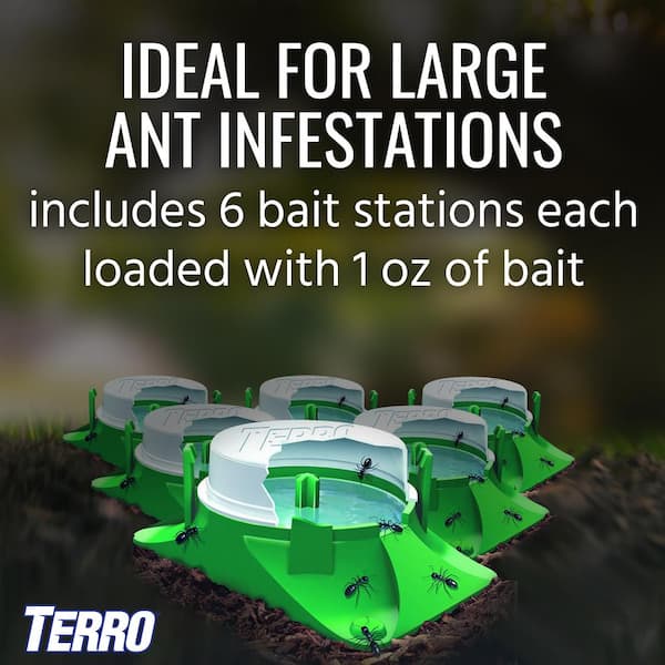 TERRO® Ant Killer II Liquid Ant Baits, 6 ct - Kroger