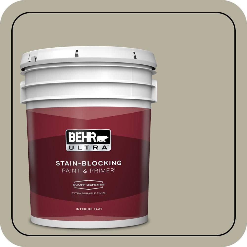5 gal. #QE-35 Stone Walkway Extra Durable Flat Interior Paint & Primer price history on PriceWatchPro
