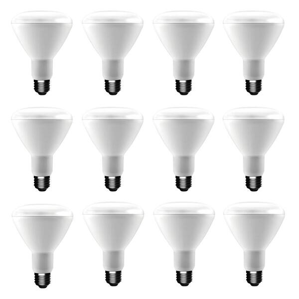 EcoSmart 65W Equivalent Day Light BR30 Dimmable LED Light Bulb (12-Pack ...