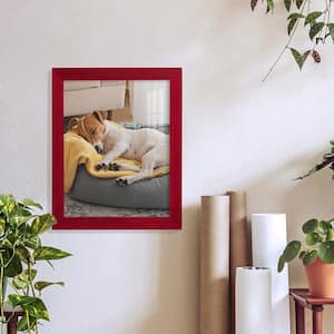 Grooved 8 in. x 10 in. Red Picture Frame