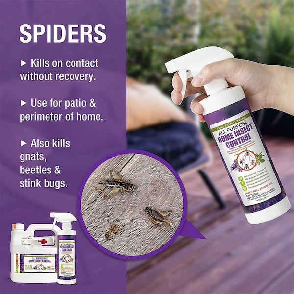 ECOVENGER EcoVenger by EcoRaider All Purpose Insect Control 16 oz. Fleas,  Moths, Springtails, Spiders, Plant-Based, Child/Pet-Safe APHIC10016 - The  Home Depot