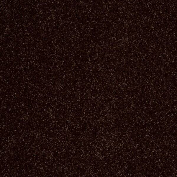 Home Decorators Collection Carpet Sample - Cressbrook I - In Color Dark Chocolate 8 in. x 8 in.