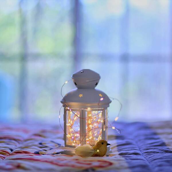 rose gold lantern fairy lights