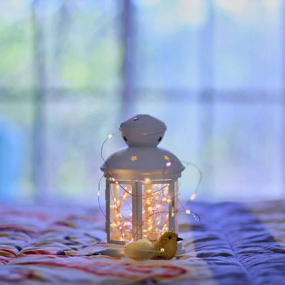 6ft Warm White Battery Powered LED Fairy String Lights