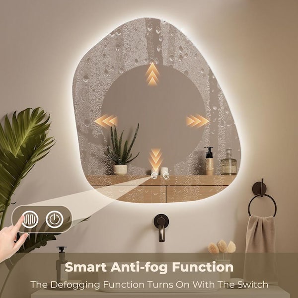 WallBeyond 22 in. W x24 in. H Asymmetrical Oval Framless Led Wall