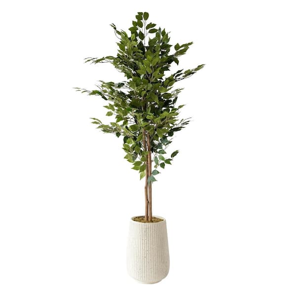 Unbranded Botaneeka 68 .5 in. Artificial Altissima Ficus Tree and Fiber Clay Pot Set