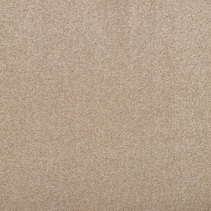 Hainsridge - Gentle Doe Brown 68 oz. Triexta Texture Installed Carpet