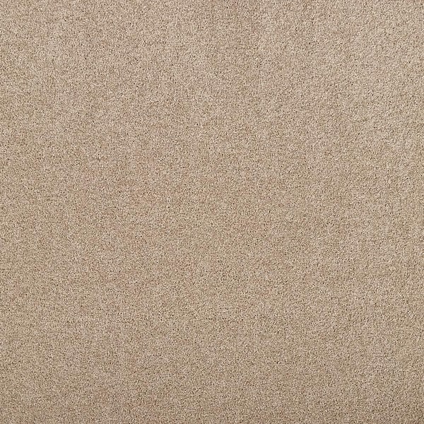 Lifeproof with Petproof Technology Hainsridge - Gentle Doe Brown 68 oz. Triexta Texture Installed Carpet