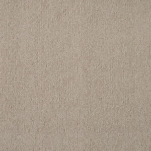 Feather - Sand - Brown 12 ft. 54 oz. Wool Texture Installed Carpet