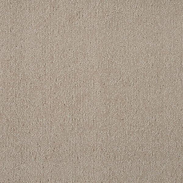 Natural Harmony Feather - Sand - Brown 12 ft. 54 oz. Wool Texture Installed Carpet