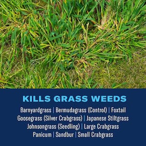 32 oz. Ready to Spray Extreme Crabgrass Killer for Lawns