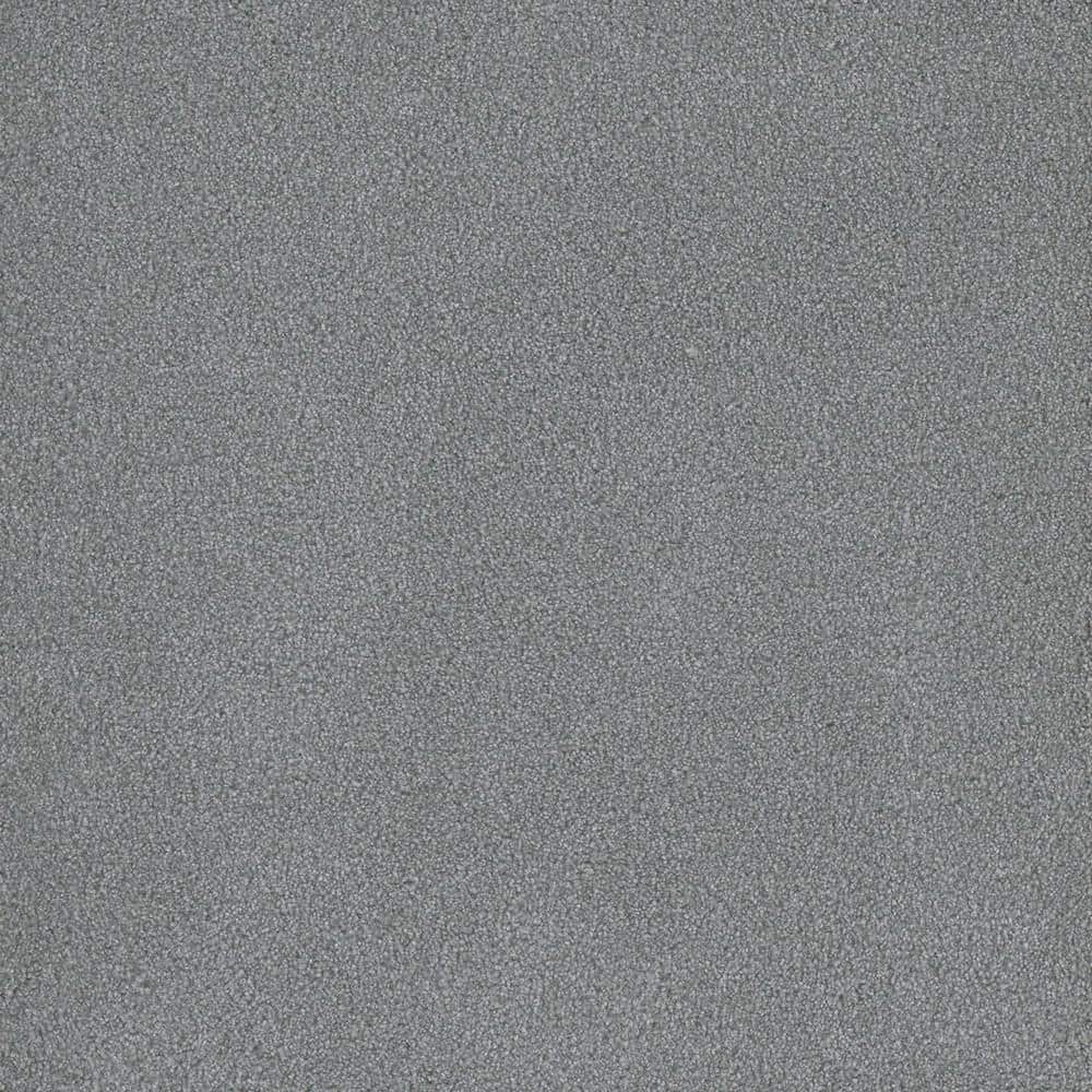 8 in. x 8 in. Texture Carpet Sample - First Class I -Color July price history on PriceWatchPro