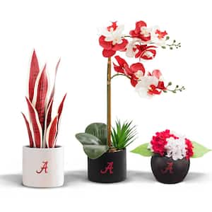 20 in. Alabama Crimson Tide Artificial Orchid Plant, Snake Plant, and Hydrangea (3-Pack)