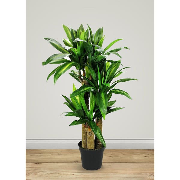 Unbranded Botanical 3 .9 ft. Green Artificial Dracaena Tree in Pot