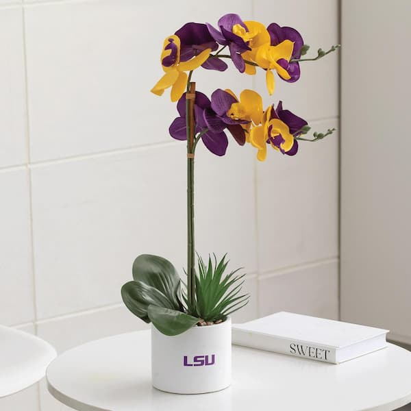 MSU Orchid Plant, MSU Faux Orchid Plant, MSU Gifts for Men, MSU