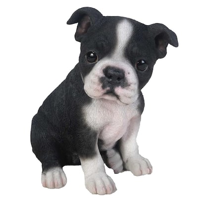 boston terrier puppy statue