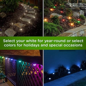 Seasons Plug-In Black LED Color Changing Mini Path Light with 2 ft. Spacing (2-Pack)