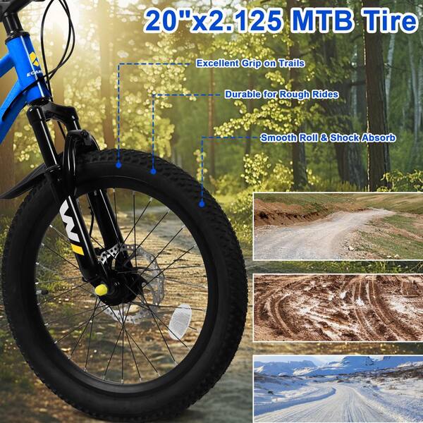 Cesicia 20 in. Steel Mountain Bike with 7 Speed and Front
