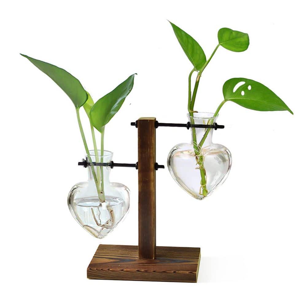 2 Love Bulb Vase Plant Terrarium Wooden Stand, Hydroponic Planter Bulb Glass Metal Swivel Holder Air Plants Water Plants price history on PriceWatchPro