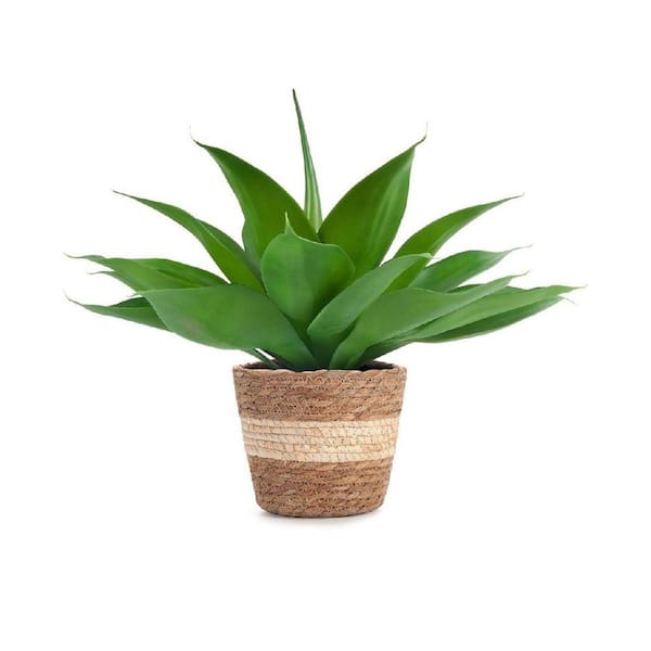 Regency International Natural Touch 42 in. Green Artificial Yucca