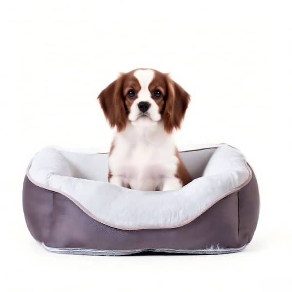 Small Size 19 in. x 13 in. Pet Bed in Anthracite