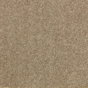 Denfort - Artisan Hue-Brown 70 oz. Triexta PET Texture Installed Carpet