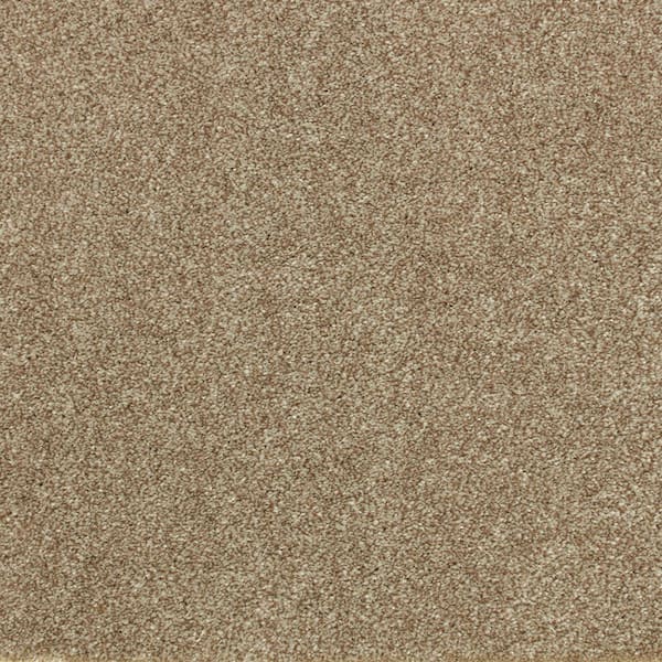 Denfort - Artisan Hue-Brown 70 oz. Triexta PET Texture Installed Carpet