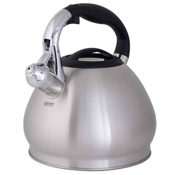 1L Stainless Steel Teapot Coffee+Tea Pot Water Kettle with Filter Large  Capacity, Silver