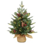 2 ft. Battery Operated Nordic Spruce Artificial Christmas Tree with Warm White LED Lights