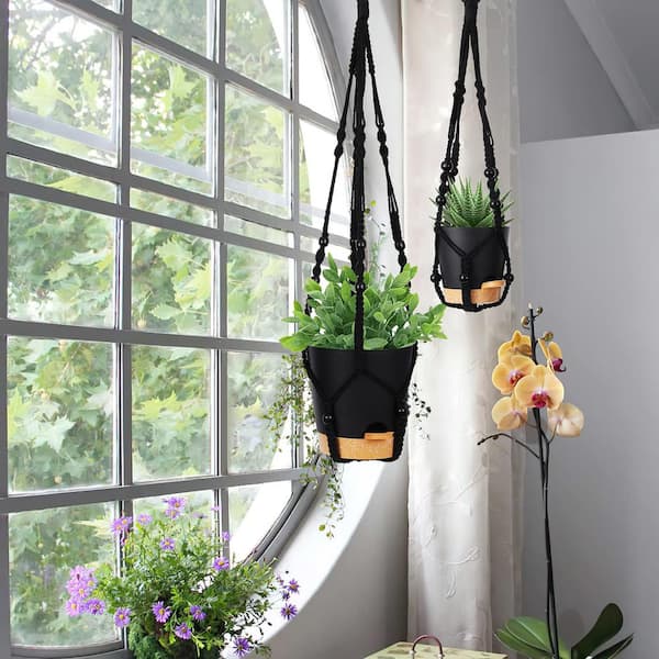 Hanging Plant Indoor Decor: Transform Your Space with Greenery