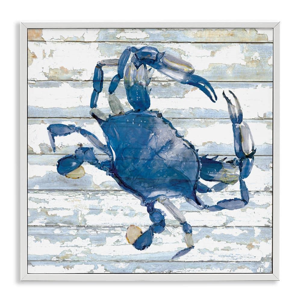 Blue Crab on Distressed by Jessie Perry White Framed Animal Giclee Art Print 24 in. x 24 in. price history on PriceWatchPro