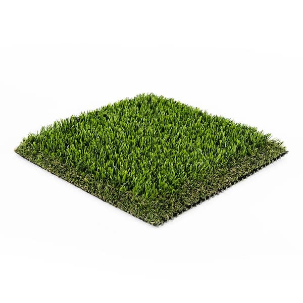 Eco 82 (1 ft. x 1 ft. Sample Square)