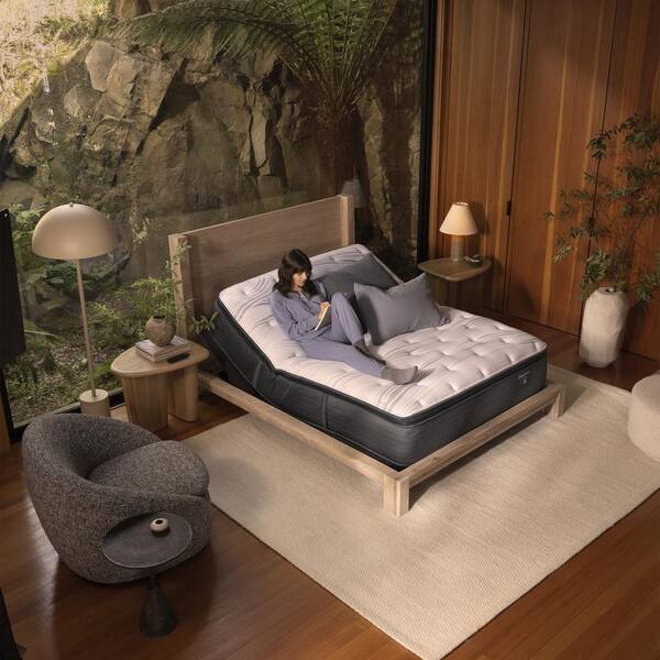 Beautyrest plush euro top mattress twin sales