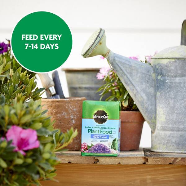 Miracle-Gro Water-Soluble 1.5 lb. Azalea Camellia and Rhododendron