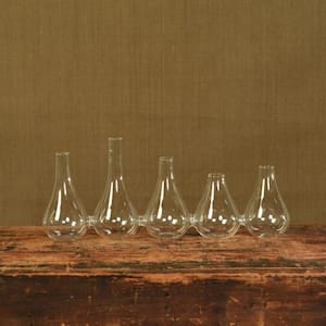 Shelly 5-Piece Clear Bud Table Vase