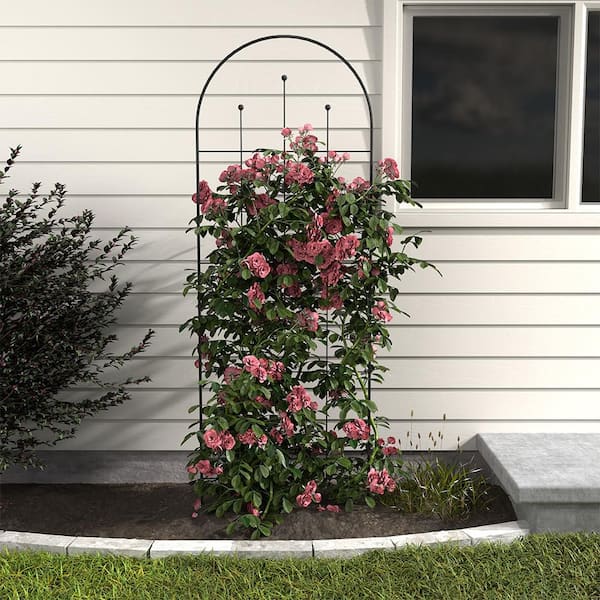 80 in. H Wisteria Black Metal Trellis