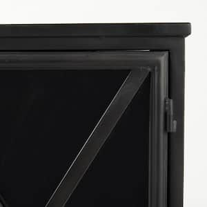 Poppy III Black Metal w/Glass Door Accent Cabinet