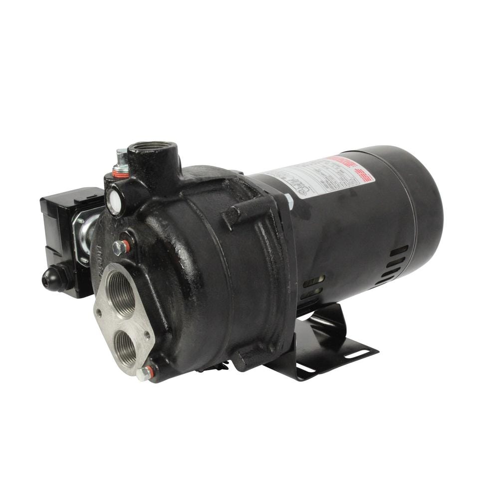 Wayne 1/2 HP Black Cast Iron Convertible Jet Well Pump