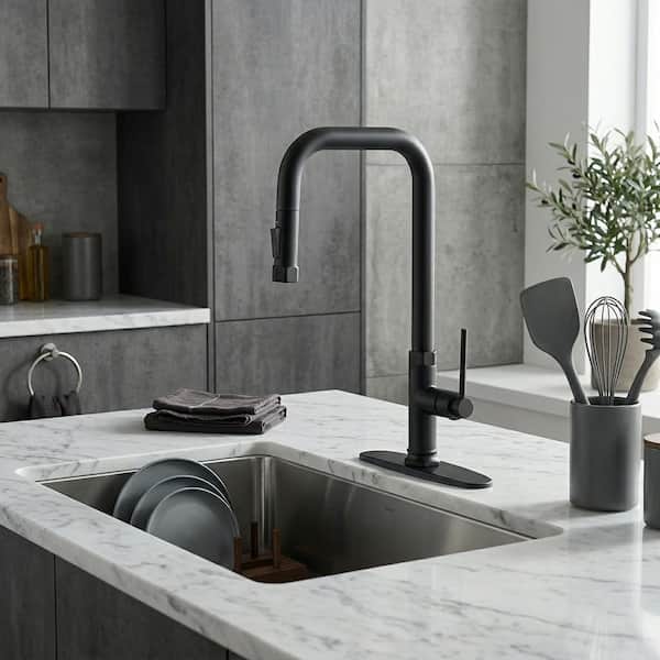 Single Handle Pull Down Sprayer Kitchen Faucet with 2-Mode Sprayer in Matte Black