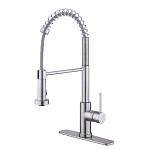 Paulina Single-Handle Spring Neck Pull Down Sprayer Kitchen Faucet in Stainless Steel