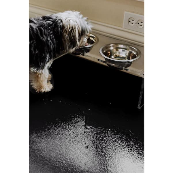 G-Floor 5 ft x 10 ft Vinyl Levant Pet Friendly Carpet Protector for Dogs &  Cats - Midnight Black 