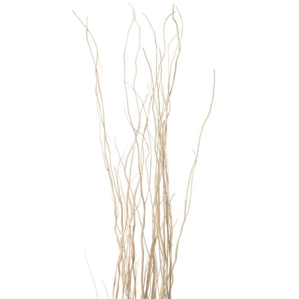 GHY Decor Curly Willow Branches Real Curly Branche Twigs Dried Curly Willow  Branches 100% Natural Decorative 16 Stem Decorative White Sticks 23 Inch