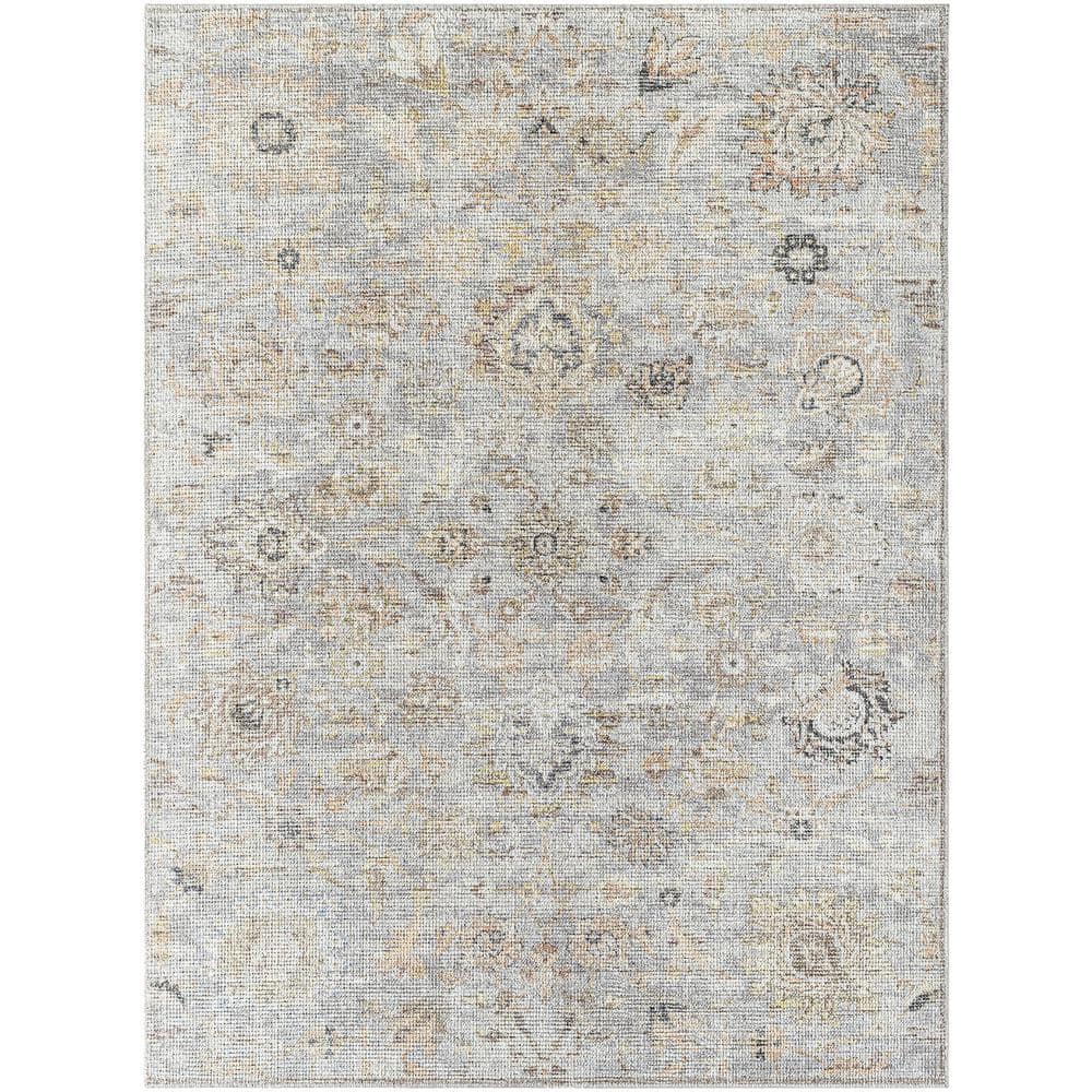 Our PNW Home Olympic Pale Blue Traditional 7 ft. x 9 ft. Indoor Area Rug price history on PriceWatchPro