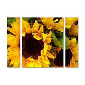 30 in. x 41 in. "Sunflowers" by Amy Vangsgard Printed Canvas Wall Art