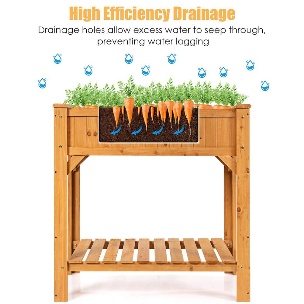 Natural Fir Wood Raised Garden Bed with Liner and Shelf