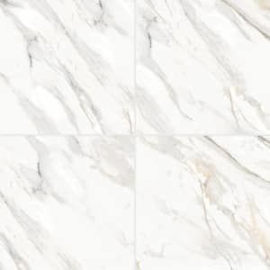 Shandar Square 24 in. x 24 in. Polished Arezzo Bianco Super White Porcelain Tile (15.49 sq. ft./Case)